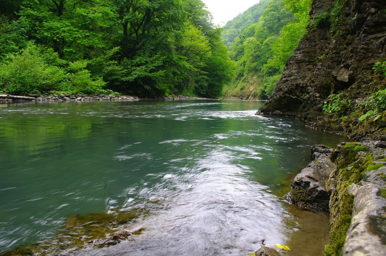 Пикник у реки сочи фото